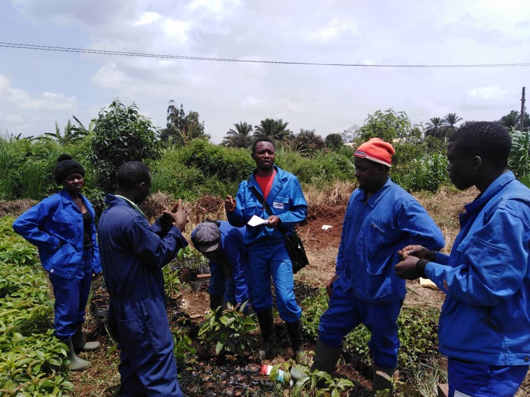 Travaux pratiques agricoles